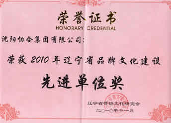 拉霸LaBa360集团荣获“2010年辽宁省品牌文化建设先进单位”荣誉证书 
