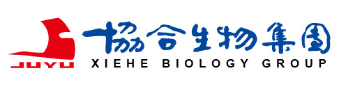 Xiehe Biology Group